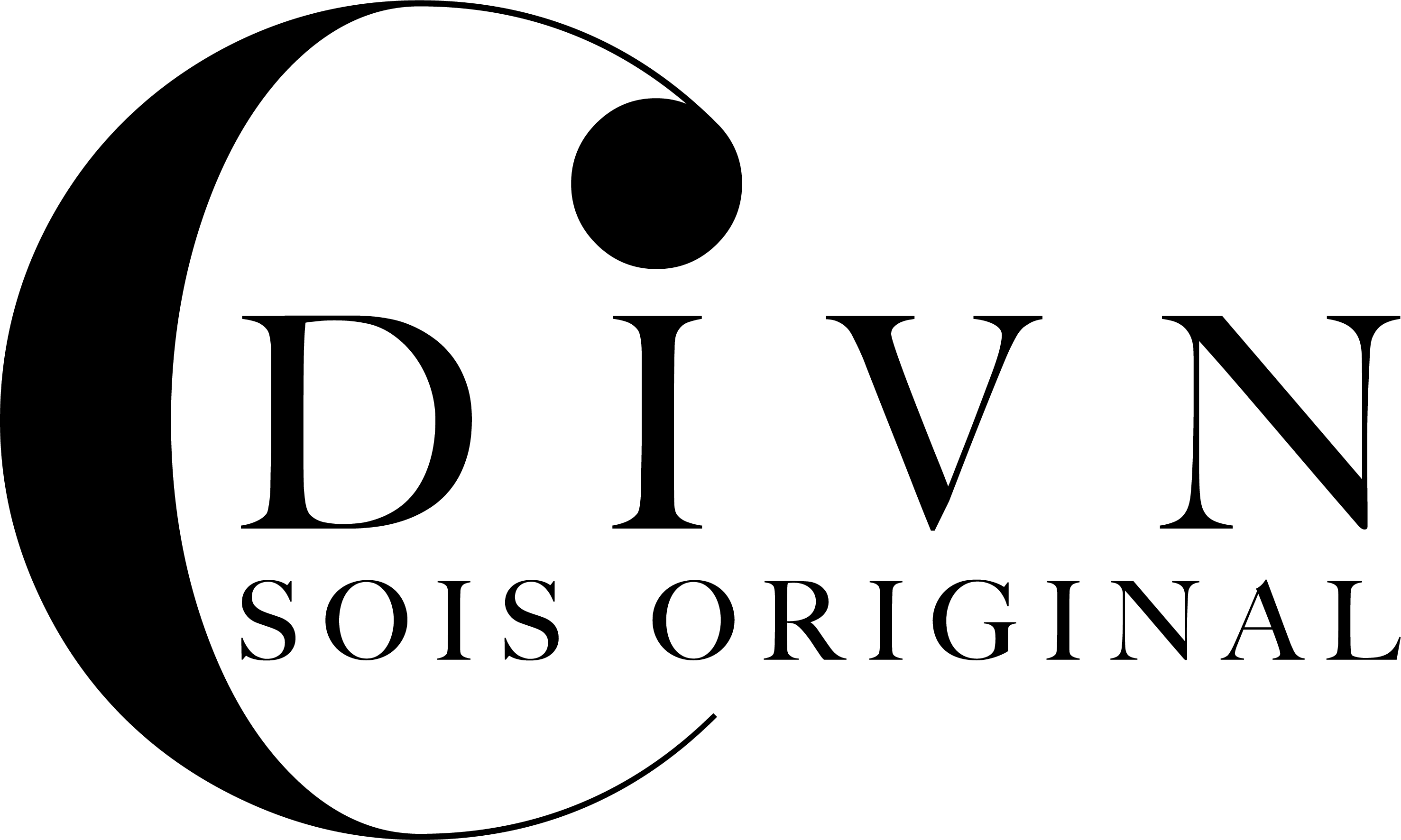 logo de l'entreprise partenaire CDIVN